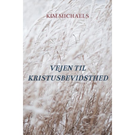 VEJEN TIL KRISTUSBEVIDSTHED