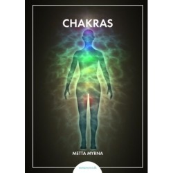 CHAKRAS: Forstå dit energisystem