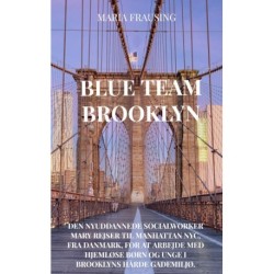 Blue Team Brooklyn: Den nyuddannede socialworker Mary rejser til Manhattan NYC, fra Danmark, for at arbejde med hjemløse børn og unge i Brooklyns hårde gademiljø.