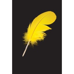 Jeg er Jakob Priis: Første bog