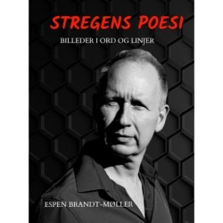 STREGENS POESI: Billeder i ord og linjer