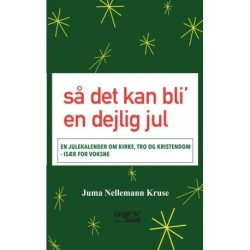 så det kan bli’  en dejlig jul: EN JULEKALENDER OM KIRKE, TRO OG KRISTENDOM - ISÆR FOR VOKSNE