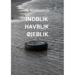 Indblik Havblik Øjeblik