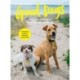 Good Dogs: A Practical Guide to Owning a Happy Dog