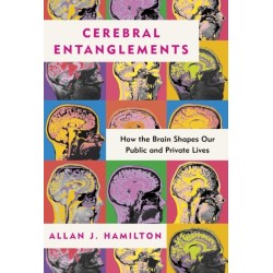Cerebral Entanglements: How the Brain Shapes Our Public and Private Lives