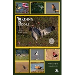 Birding In Indore