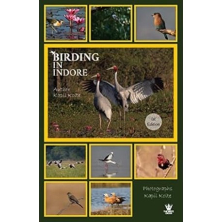 Birding In Indore