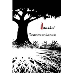 Amazin' Transcendence