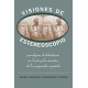 Visiones De Estereoscopio: Paradigma De Hibridacion En La Ficcion Y El Arte De La Vanguardia Espanola