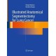 Illustrated Anatomical Segmentectomy for Lung Cancer