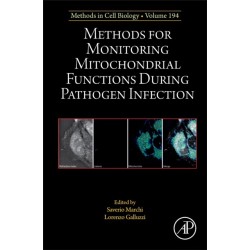 Methods for Monitoring Mitochondrial Functions During Pathogen Infection