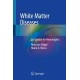 White Matter Diseases: An Update for Neurologists