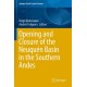 Opening and Closure of the Neuquen Basin in the Southern Andes