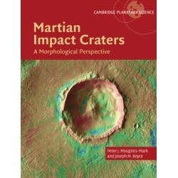 Martian Impact Craters: A Morphological Perspective