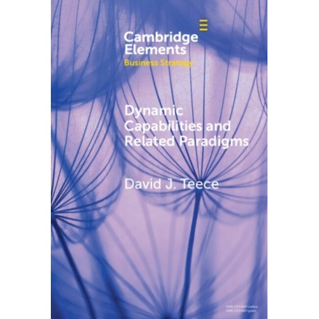 Dynamic Capabilities and Related Paradigms