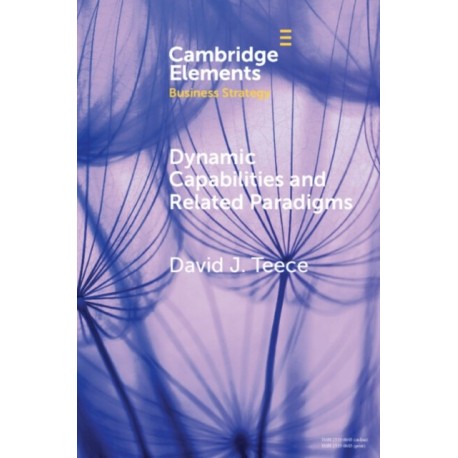 Dynamic Capabilities and Related Paradigms