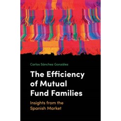 The Efficiency of Mutual Fund Families: Insights from the Spanish Market