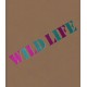 Wild Life: Elizabeth Murray & Jessi Reaves