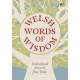Welsh Words of Wisdom - Inspirational proverbs from Wales: Inspirational proverbs from Wales