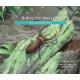 Sobre los insectos: Una gu a para ni os (Libro educativo de ciencia para el aprendizaje STEM)