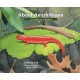 About Amphibians: A Guide for Children