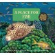 A Place for Fish