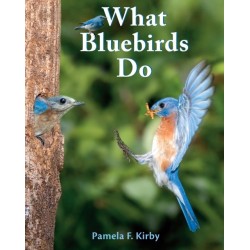 What Bluebirds Do