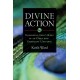Divine Action: Examining God's Role in an Open and Emergent Universe