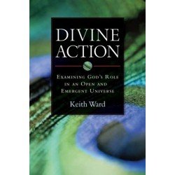 Divine Action: Examining God's Role in an Open and Emergent Universe