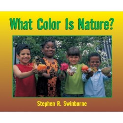 What Color is Nature?