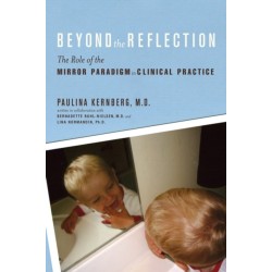 Beyond the Reflection