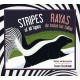 Stripes of All Types / Rayas de todas las tallas