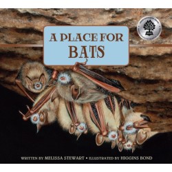 A Place for Bats