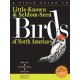 A Field Guide To Little-Known And Seldom-Seen Birds Of North America