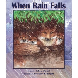 When Rain Falls