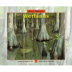 About Habitats: Wetlands