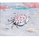About Crustaceans: A Guide for Children (Educational Science Book About Crabs, Lobsters, Shrimp, & Other Sea Animals for STEM Learning)