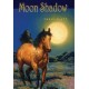 Moon Shadow