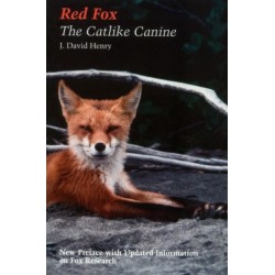 Red Fox: The Catlike Canine