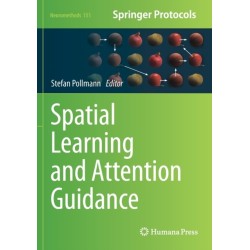 Spatial Learning and Attention Guidance
