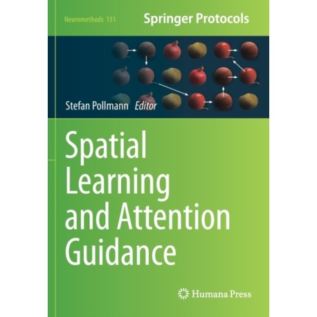Spatial Learning and Attention Guidance