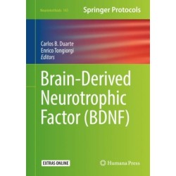 Brain-Derived Neurotrophic Factor (BDNF)