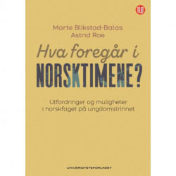 Hva foregår i norsktimene? : utfordringer og muligheter i norskfaget på ungdomstrinnet
