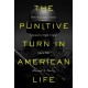The Punitive Turn in American Life: How the United States Learned to Fight Crime Like a War