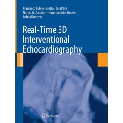 Real-Time 3D Interventional Echocardiography