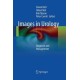 Images in Urology: Diagnosis and Management