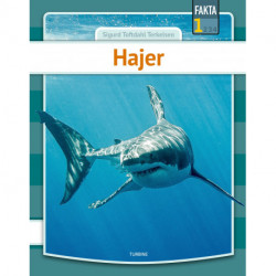 Hajer