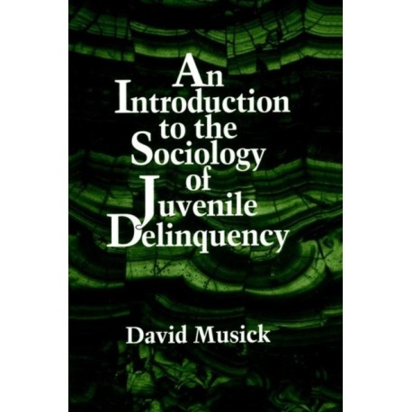 An Introduction to the Sociology of Juvenile Delinquency
