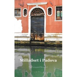 Stilladset i Padova