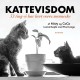 Kattevisdom: 53 ting vi har lært vores menneske